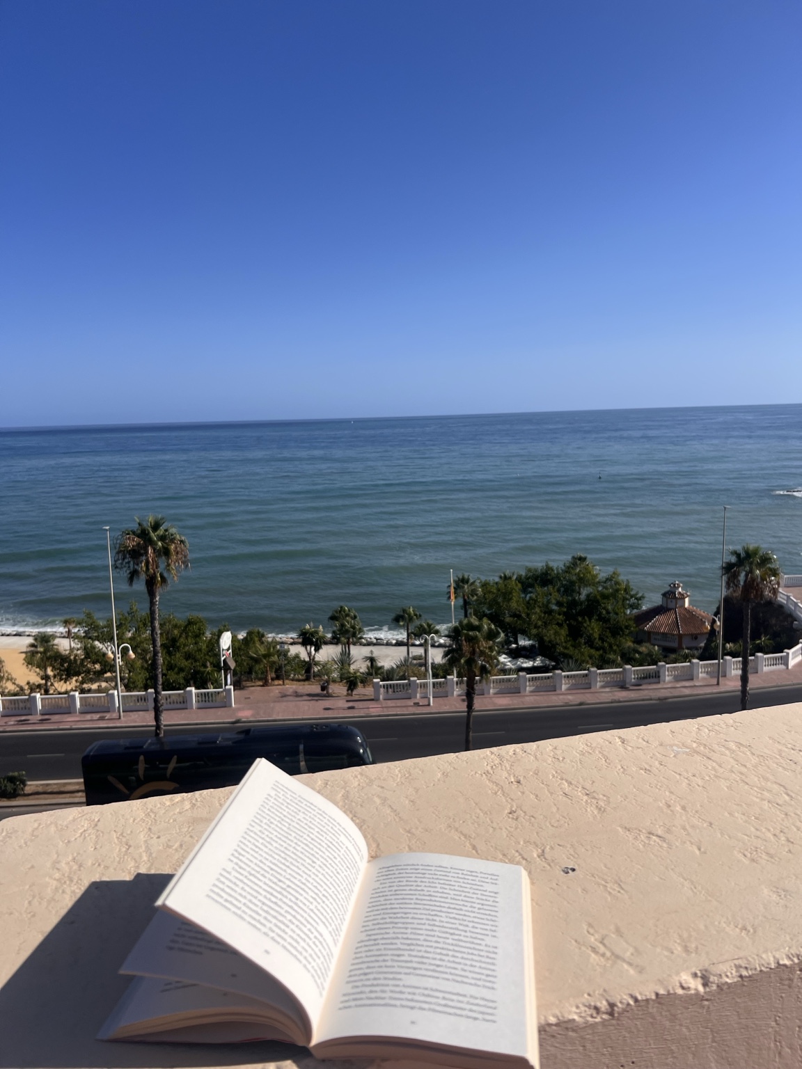Ein offenes Buch mit Blick auf Palmen und das Meer.